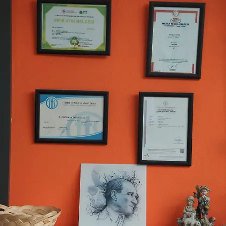 Taner 3* Ολουντενίζ