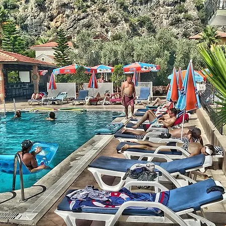 Taner 3*